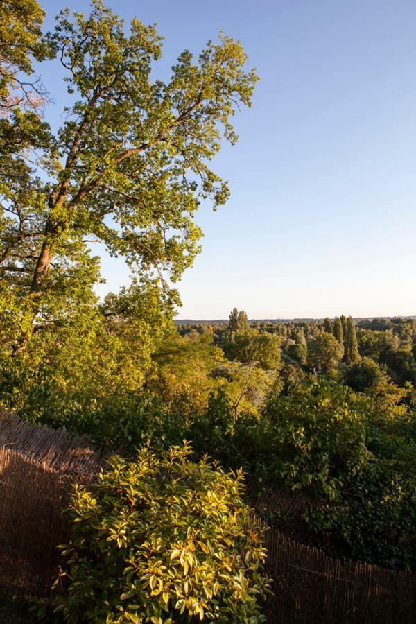 Gite De L'Oppidum Rochecorbon Esterno foto