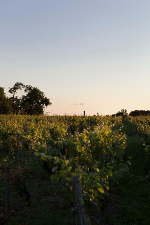 Gite De L'Oppidum Rochecorbon Esterno foto